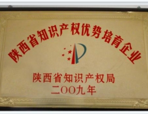 陜西省知識產(chǎn)權(quán)優(yōu)勢培育企業(yè)