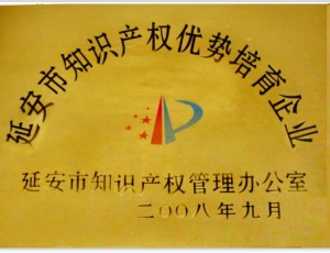 延安市知識產(chǎn)權(quán)優(yōu)勢培育企業(yè)